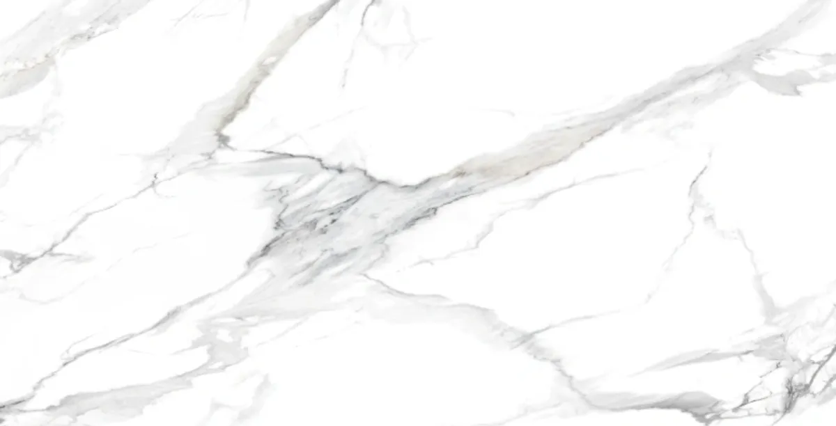 TC P2401 Michelangelo Calcatta